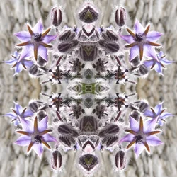 Unnatural 159