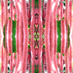 Unnatural 172