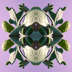 Unnatural 196