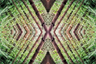 Unnatural 37
