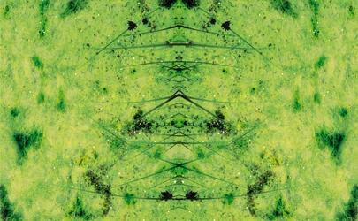 Unnatural 3