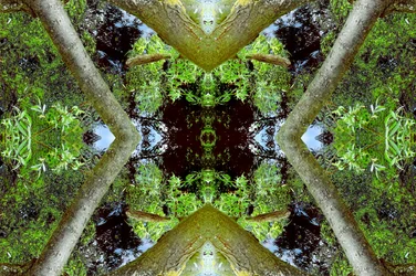 Unnatural 65.3