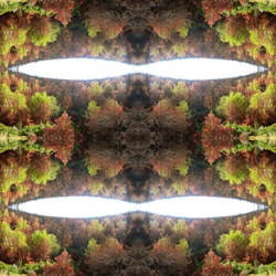 Unnatural 77.1