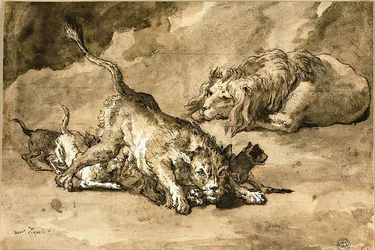 Lion, Lioness and Cubs
