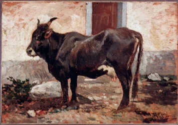 Brown Cow