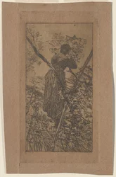 Gathering Leaves