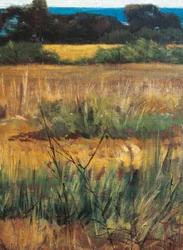Maremma Toscana, circa 1894 (detail)