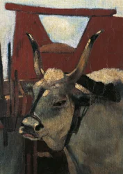 Italy, Florence, Maremma Toscana, circa 1894 (detail)
