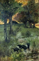 Pigs on Pasture