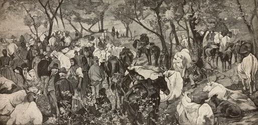Market in Tuscan Apennines