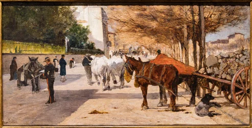Prince Amedeo Avenue in Florence