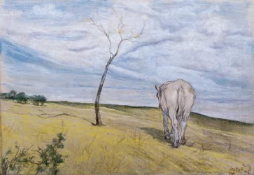 White Horse