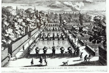 Fishponds at Villa d