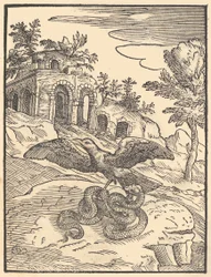 Bird and Snake