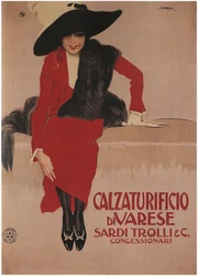 Sardi Trolli Shoes, 1897