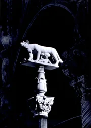 The Sienese Wolf, with the twins Romulus and Remus, facade of the Piazza del Duomo