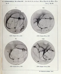 Observations by Giovanni Virginio Schiaparelli (1835-1910) Astrophysicist