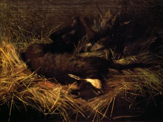 Dead Chamois