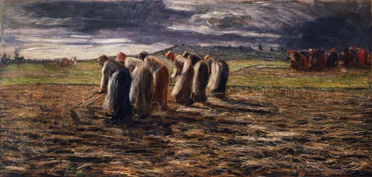 The Potato Harvest