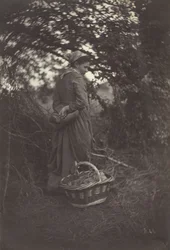 Woman Standing with Basket on Ground