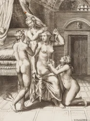 Venus Adorned by the Graces