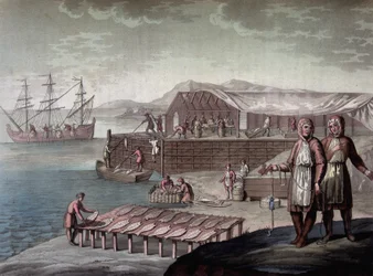 Cod fishing made by the inhabitants of Newfoundland - in The Old and Modern Costume by Ferrario, ed. Milan