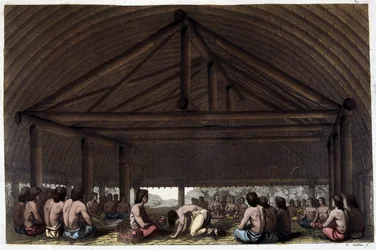 On the island of Friends (Tonga), King Pulaho drinks the Kava - in The Old and Modern Costume by Dr. Jules Ferrario, ed. Milan