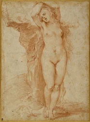 Andromeda chained to the rock