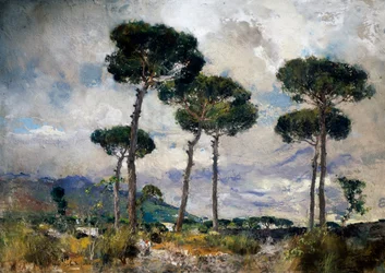 Pine Trees