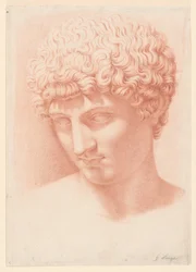 Head of Apollo
