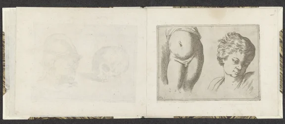 Naked lower body and head of a child