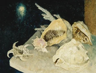 Shells