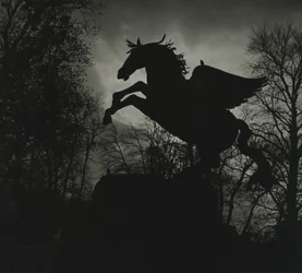 Pegasus statue in the Mirabell Gardens