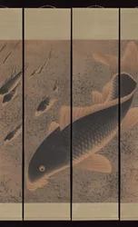 Carp
