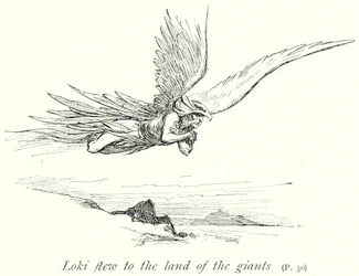 Loki Flew to the Land of the Giants