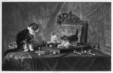 Cats Playing with a Chessboard