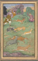 Antelope and Deer Hunt