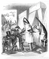 Cartoon: Pisces - doctors: Grandville engraving, from the book “Private and public life of animals (Les animaux peints par eux-mêmes)”, Hetzel edition 1867 p. 551 - A shark and a sawfish at the bedside of a sick person in bed.