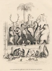 Conversation Between Animals
