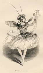 She Danced a Saltarello. Illustrated Vignettes by JJ Granville. Engraving Signed Andrew, Best and Leloir in the Section 