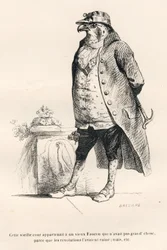 Falcon Ruined by Revolutions. Illustrated Vignettes by JJ Granville. Engraving Signed Breviere in the Section 