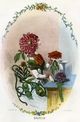 Illustration for 