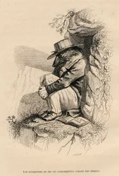 Wolf in Contemplative Solitude