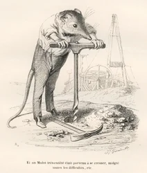 Mouse Perforating the Ground. Illustrated Vignettes by JJ Granville. Engraving Signed Breviere in the Section Titled 