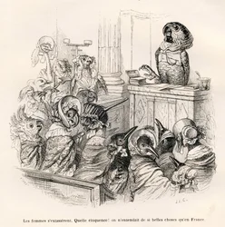 Eloquent parrot. Vignettes illustrated by J. J. Grandville. Engraving signed by Porret in the section entitled "Donkey guide for animals wishing to attain honours", written by Honoré de Balzac in "Scenes from the Private and Public Life of Animals".