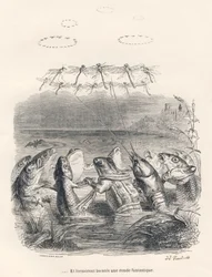 Round Dance of Water Animals and Dragonflies. Illustrated Vignettes by JJ Granville. Engraving Signed Andrew, Best and Leloir in the Section Entitled 