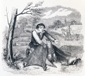 The Birdcatcher, the Goshawk and the Lark - Fables by La Fontaine
