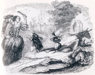 The Fly and the Ant - Fables by La Fontaine