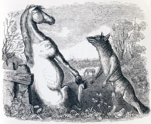 The Horse and the Wolf - Fables by La Fontaine