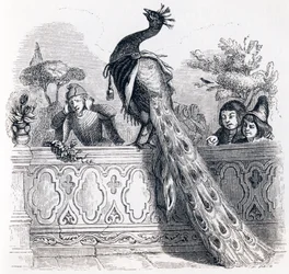 The peacock complaining to Junon - Fables by La Fontaine